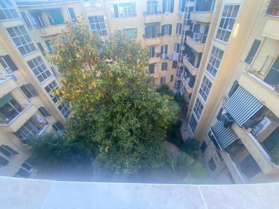 Domus Giulia & Andrea Apartment Rome Exterior photo